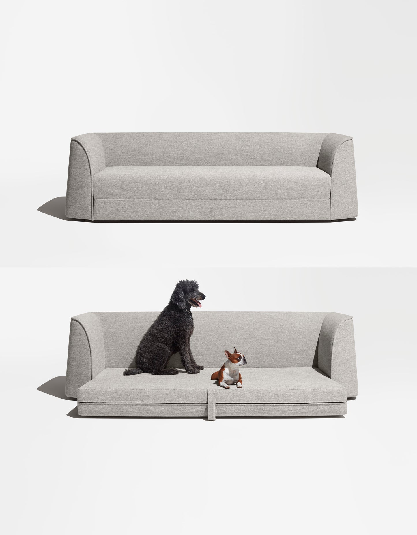 Thataway Sleeper Sofa